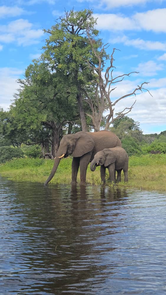 Luxury safari camp